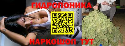 крисы Беслан