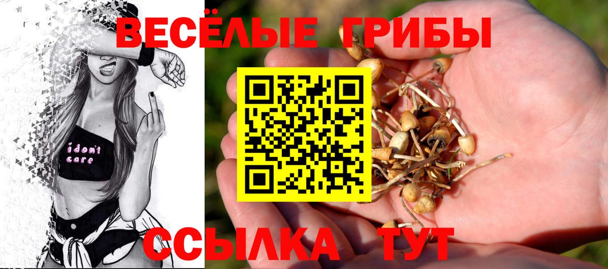 Псилоцибиновые грибы Magic Shrooms Каменск-Уральский